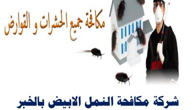 شركة مكافحة النمل الابيض بالخبر