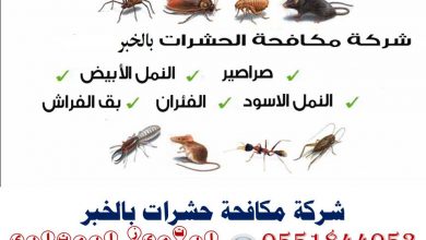 شركة مكافحة حشرات بالخبر0551844053