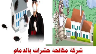 شركة مكافحة حشرات بالدمام